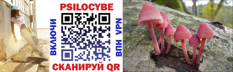 Купить где  Болгар  Псилоцибиновые грибы Magic Shrooms 