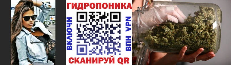 Марихуана семена  Купить  Болгар 